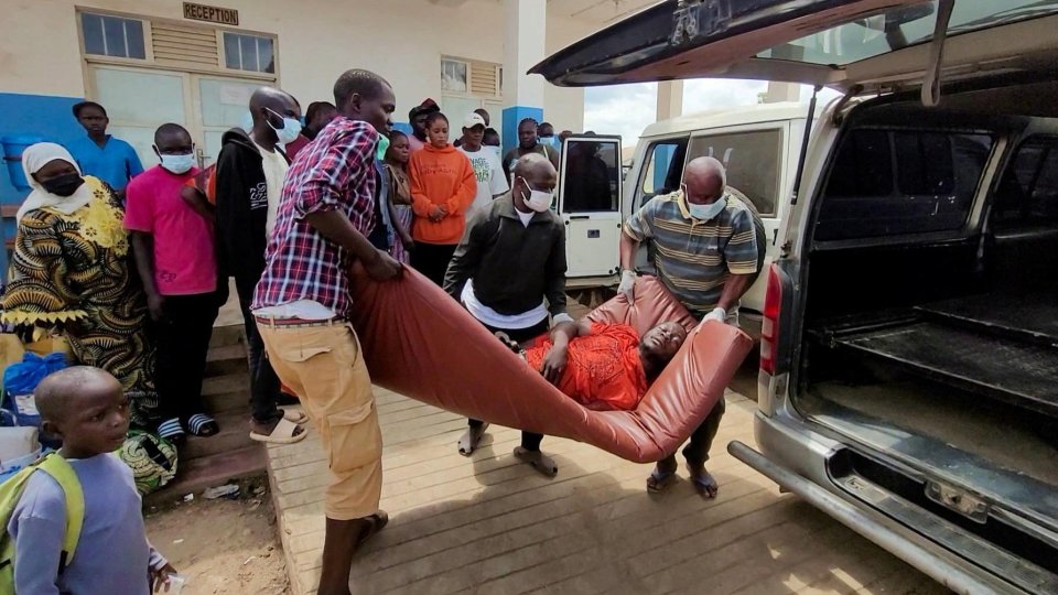 OMS: Riscul de epidemie de Ebola, scăzut la nivel internaţional