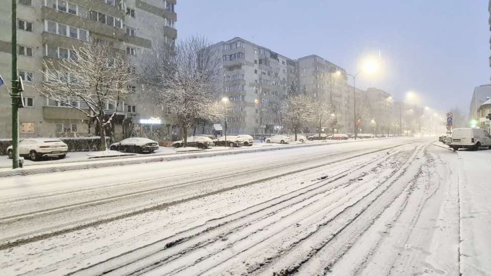 Ninge abundent la Brașov