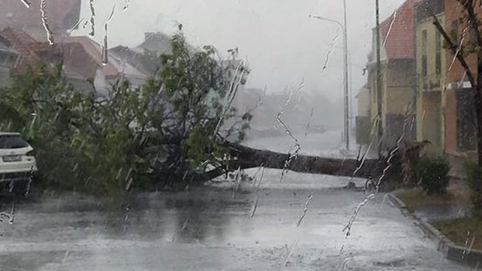 ISU Brașov, intervenții în urma vântului puternic