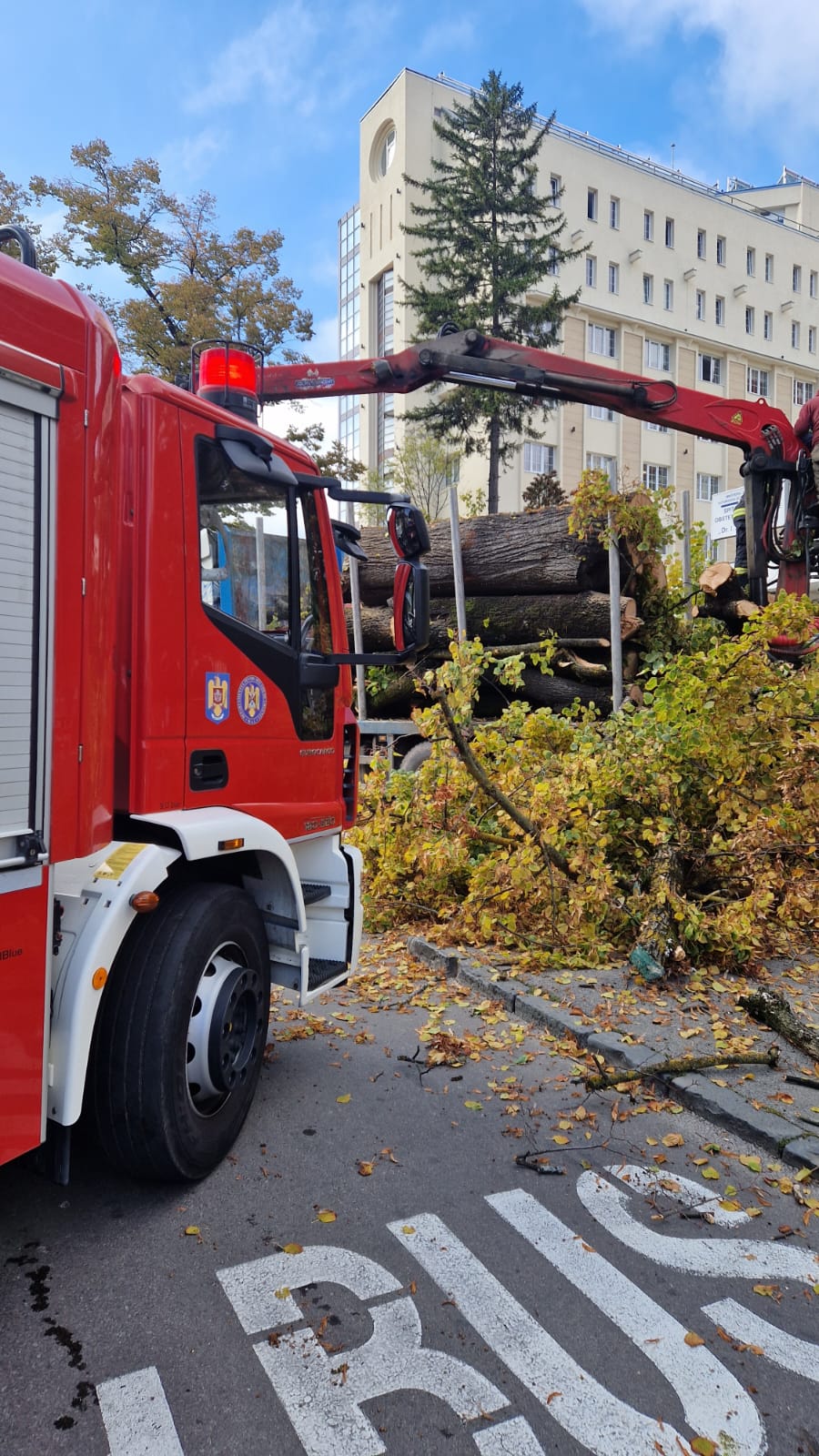 Muncitor rănit în timpul lucrărilor de toaletare a arborilor /