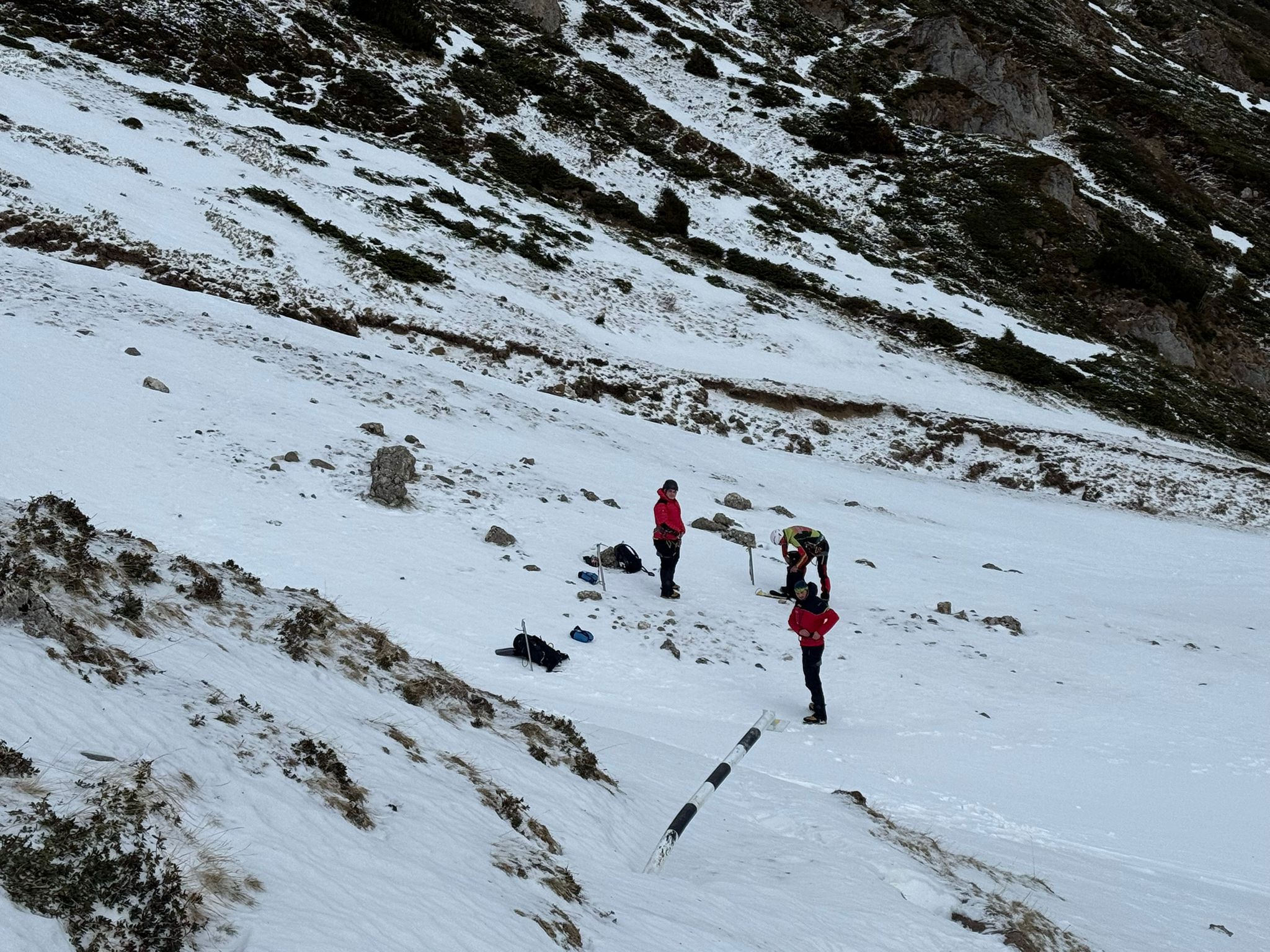 Căutări persoană dispărută /