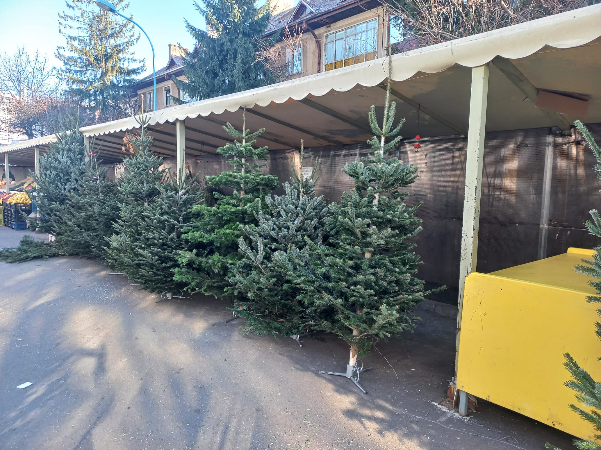 FOTO: Radio România Brașov FM