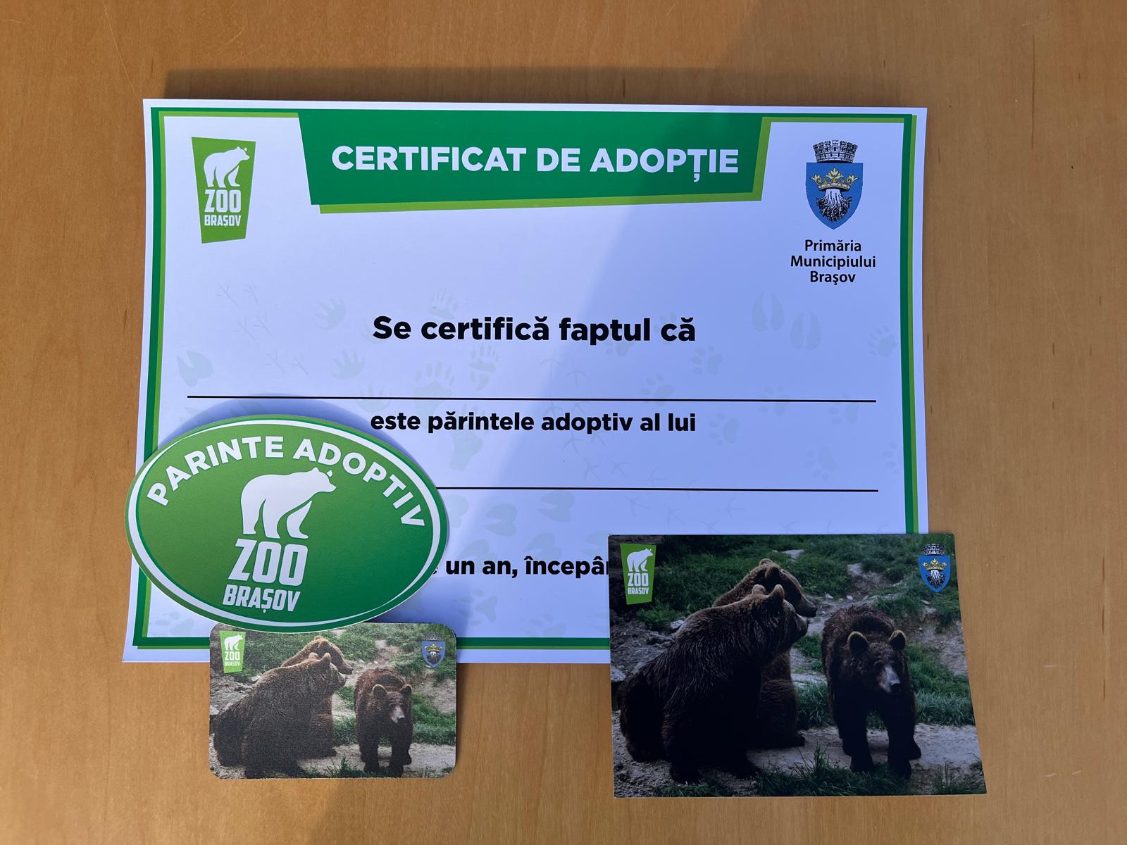 Ziua Ursului / Zoo Brașov /