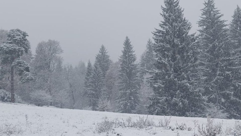 Foto: arhivă / Radio România Brașov FM