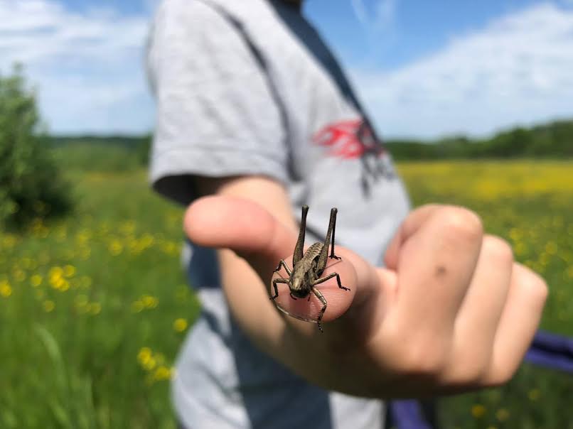 Educație cu vedere la natură /
