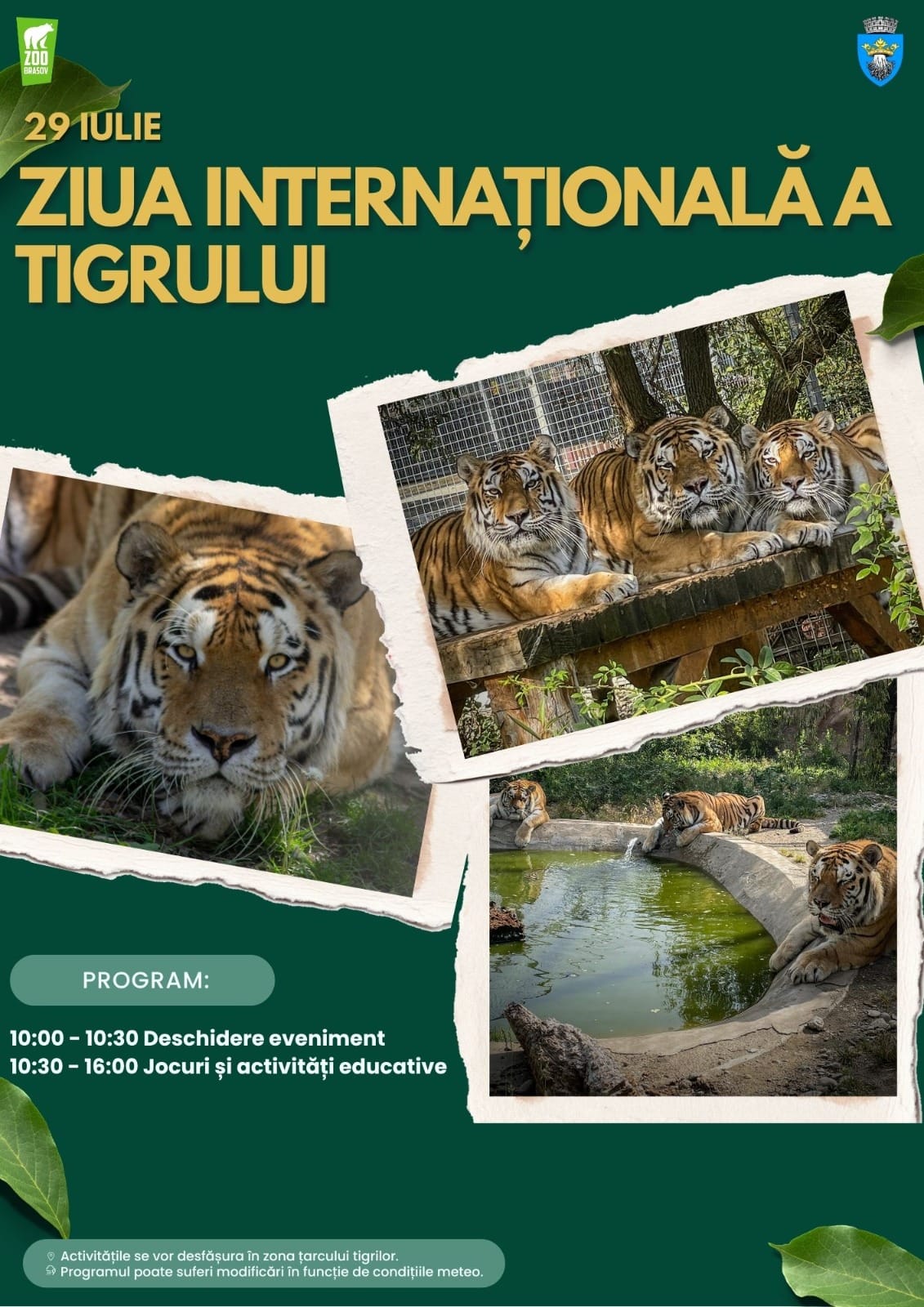 FOTO: Zoo Brașov
