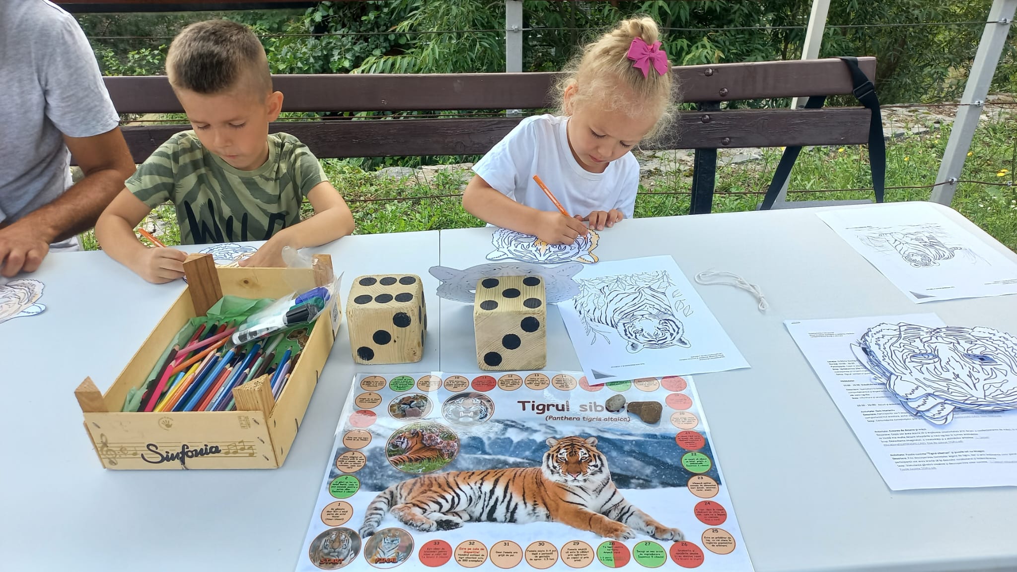 Ziua Internațională a Tigrului, marcată la Zoo Brașov /