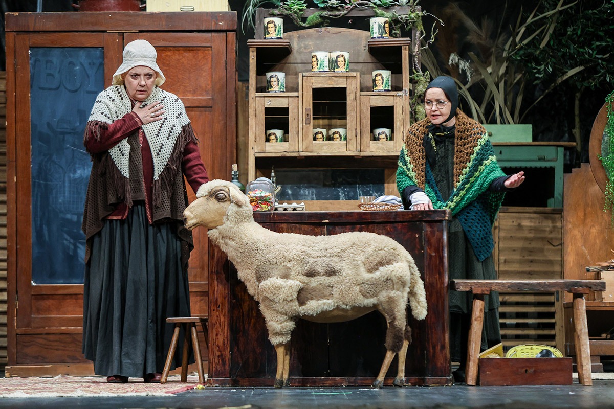 Fotograf oficial al Festivalului Săptămâna Comediei: Florin Ghioca