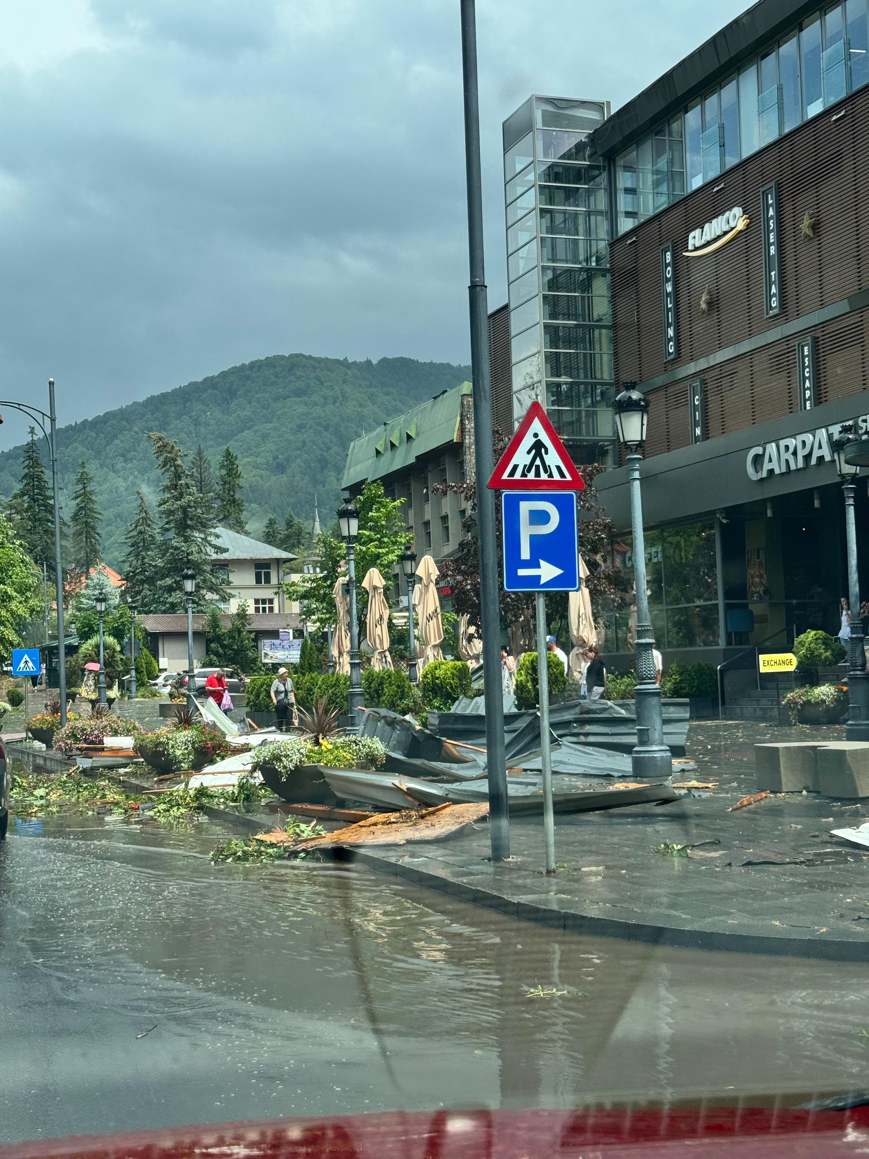 Arbori căzuți Sinaia /
