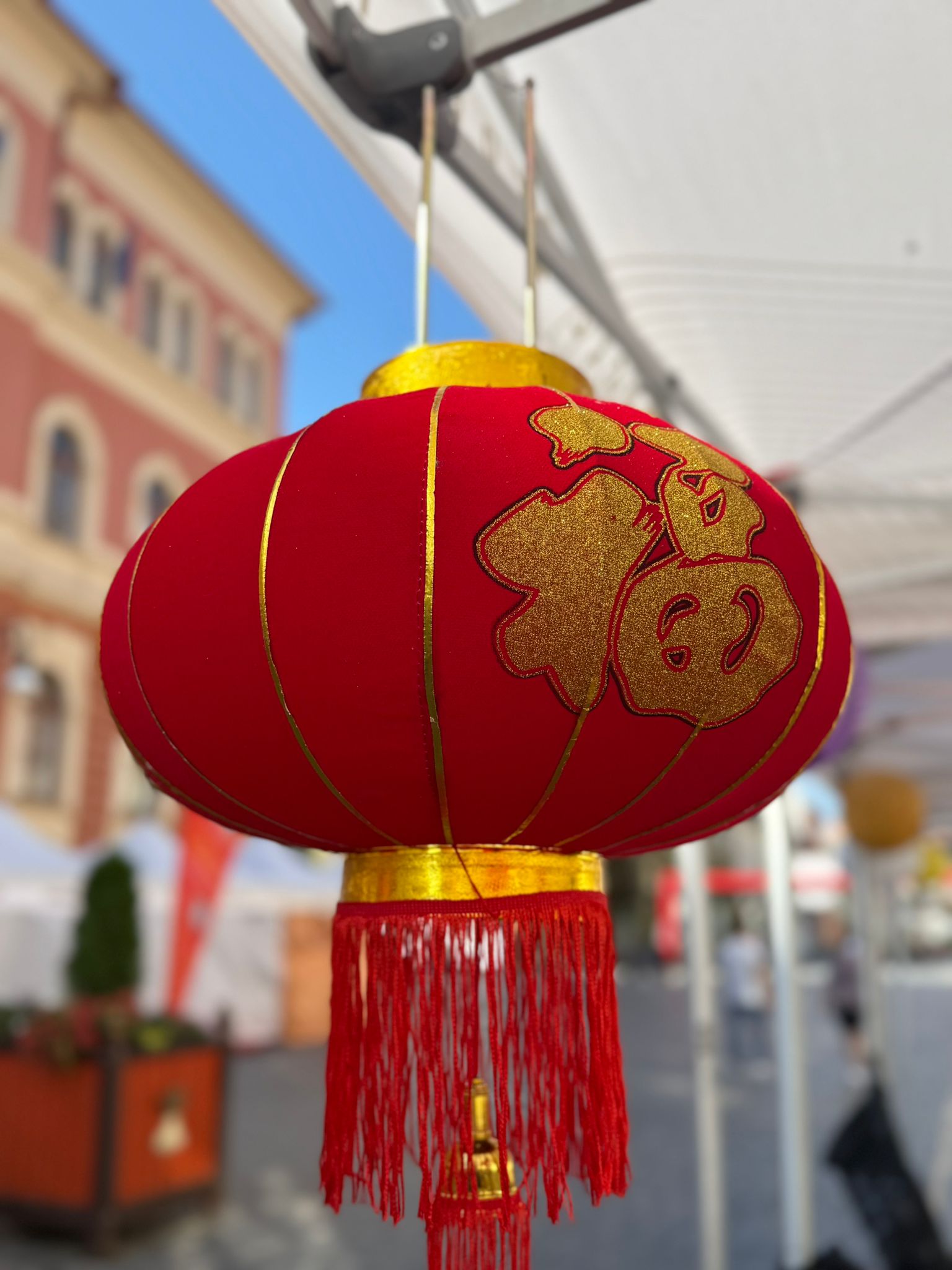 Asia Fest la Braşov