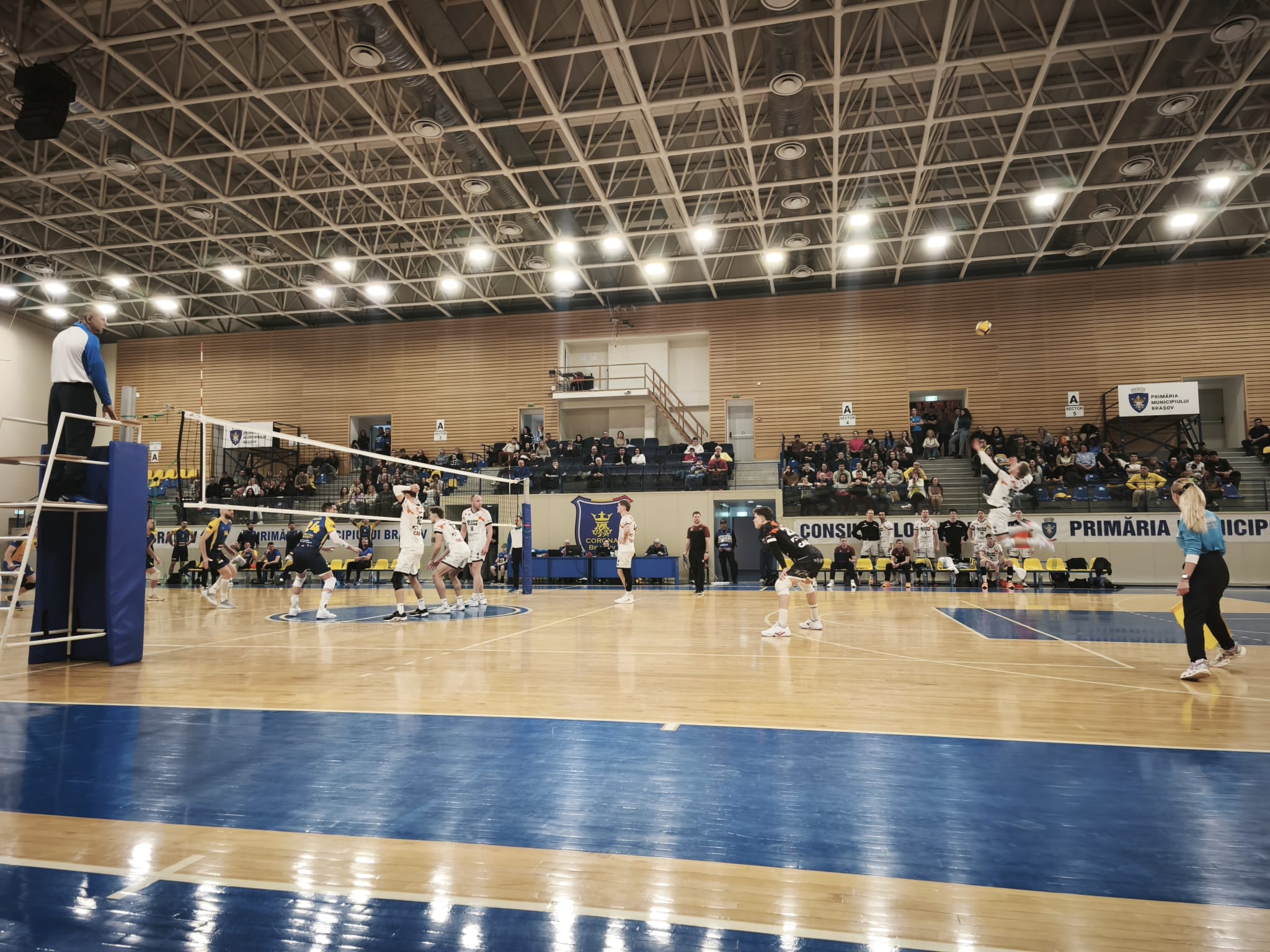 Volei masculin /