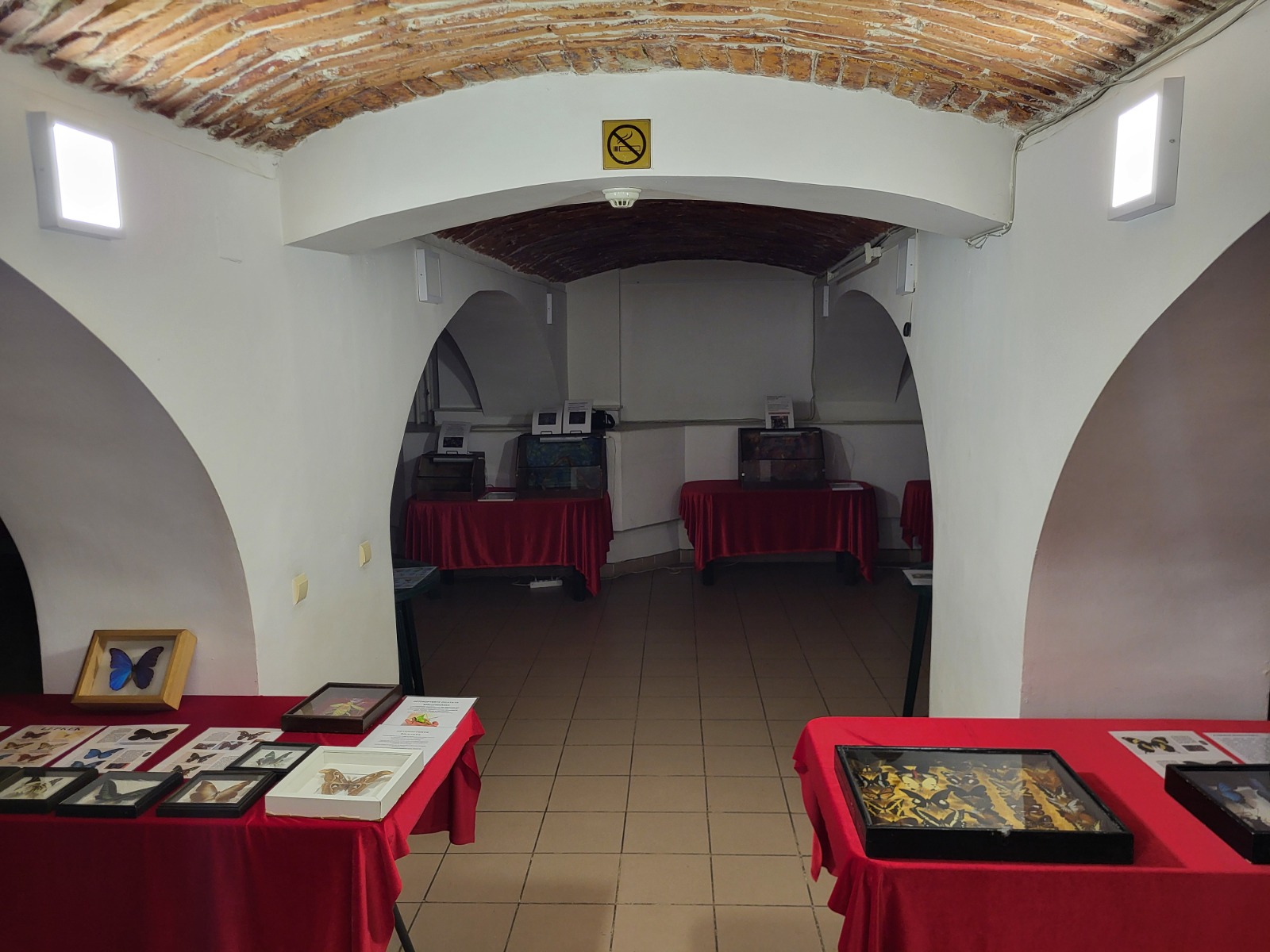 Expoziție insecte uriașe /