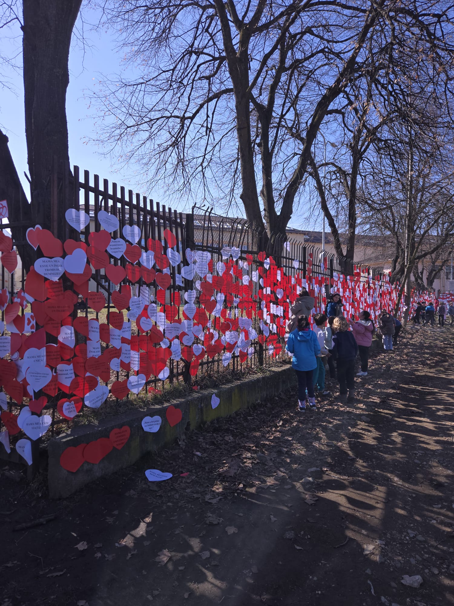 Inimioare pentru mama /