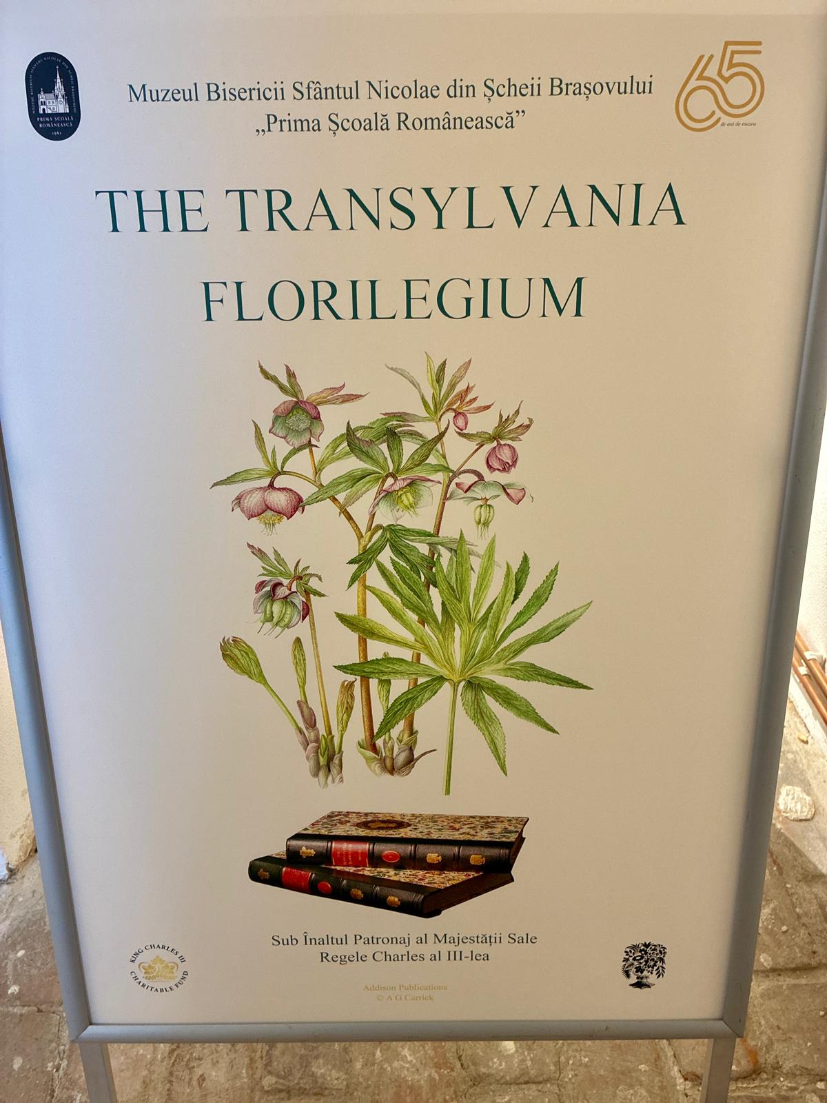 Expoziție aniversară /