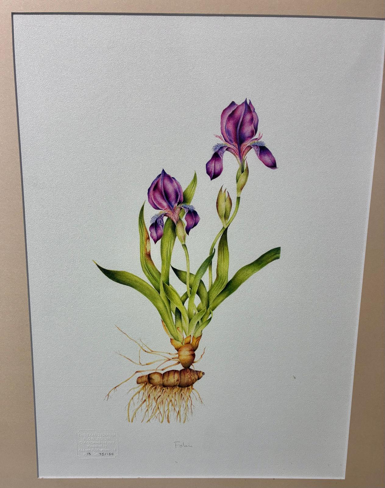 Expoziție aniversară /