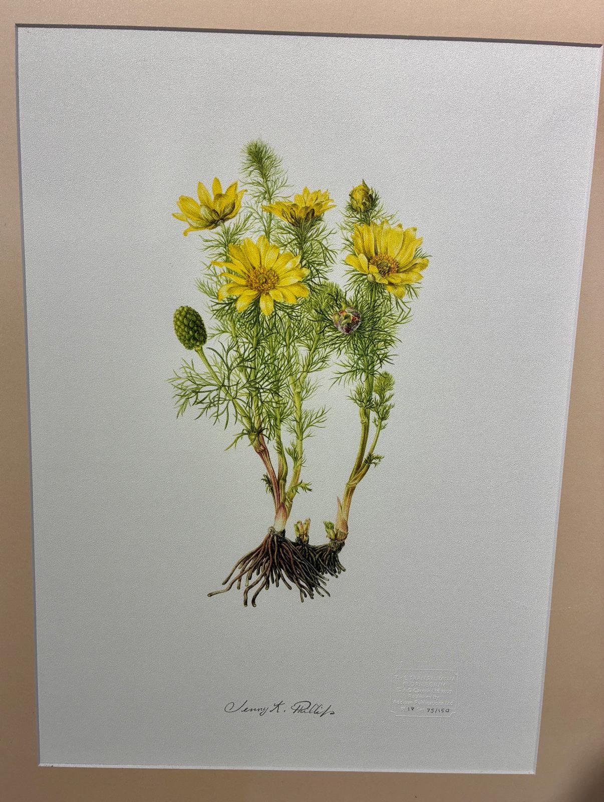 Expoziție aniversară /