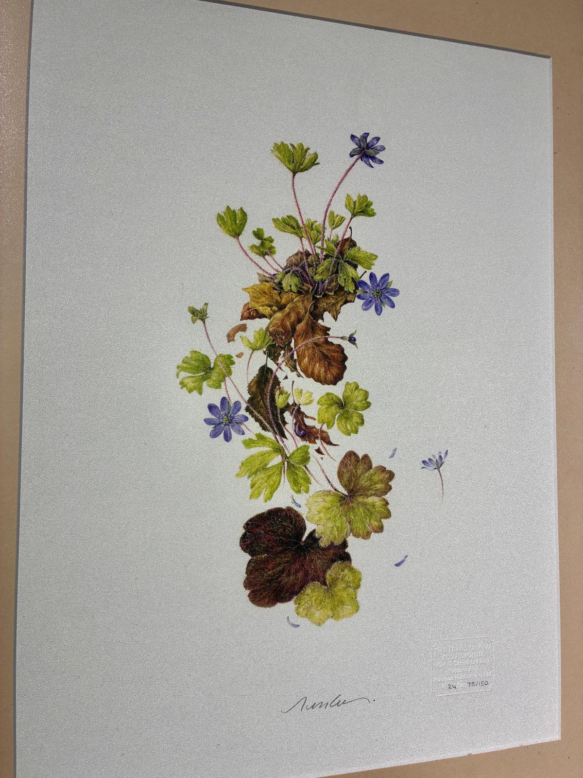 Expoziție aniversară /