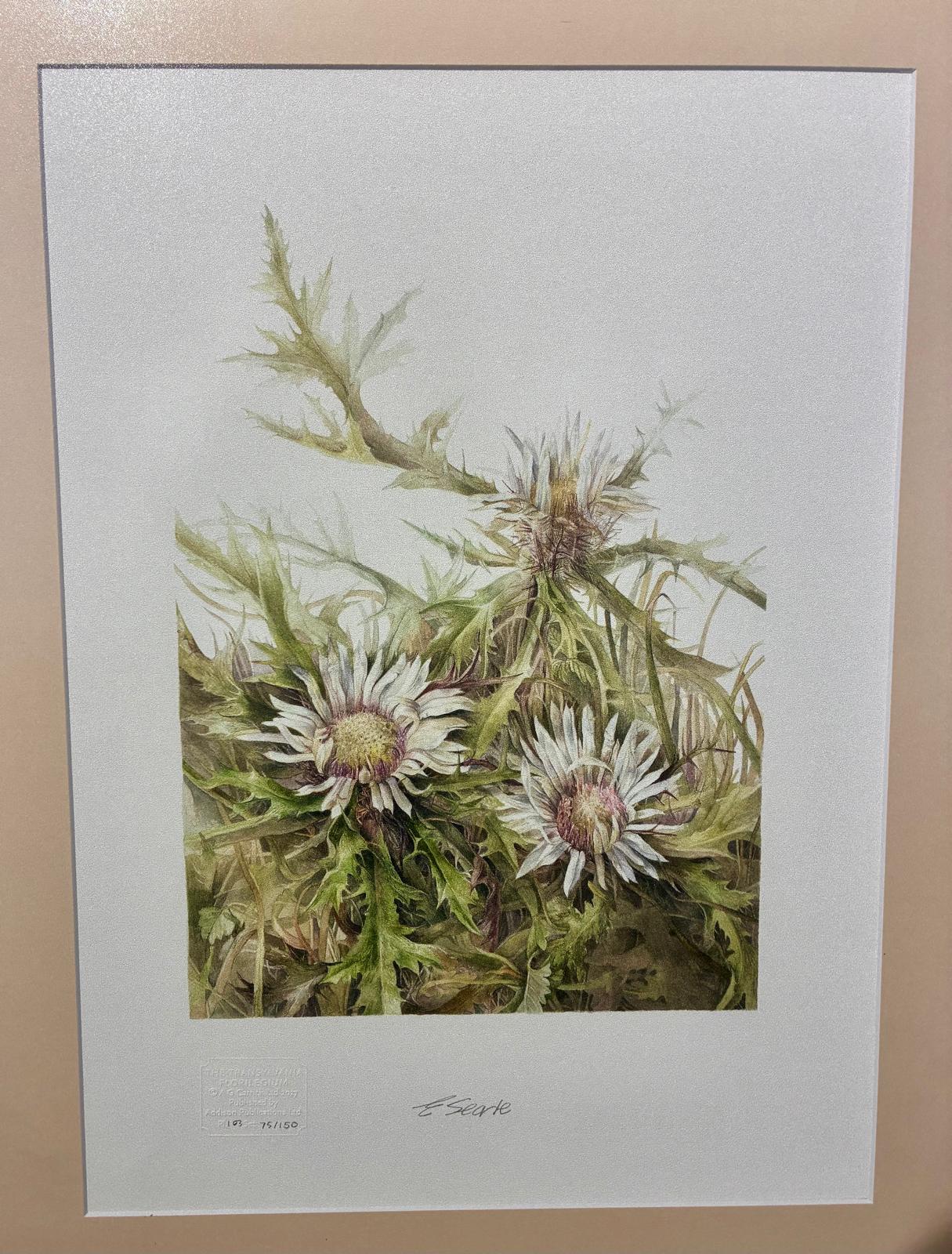 Expoziție aniversară /